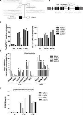 IFNAR2 Deficiency Causing Dysregulation of NK Cell Functions and Presenting With Hemophagocytic Lymphohistiocytosis